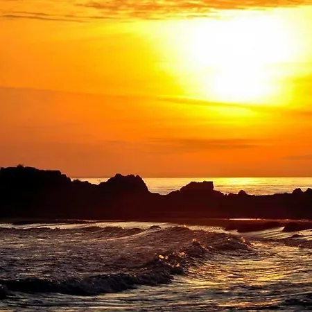 Soulis 2* 阿尔库季岛